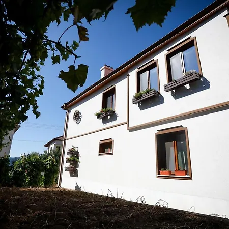 родопчани старцево